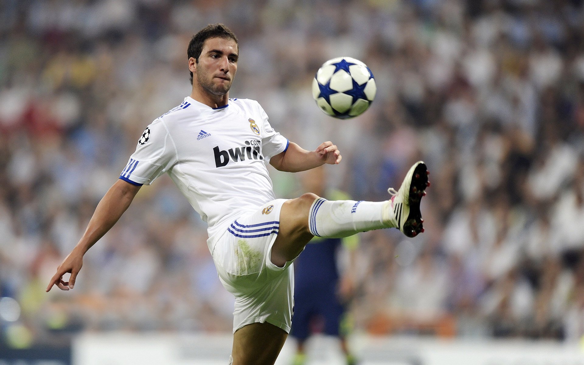 揭秘体操高分背后的技术细节，体操打分最高分